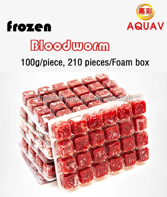 frozen bloodworm