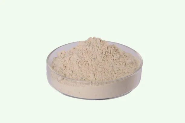 Factory supply top quality serrapeptase enzyme