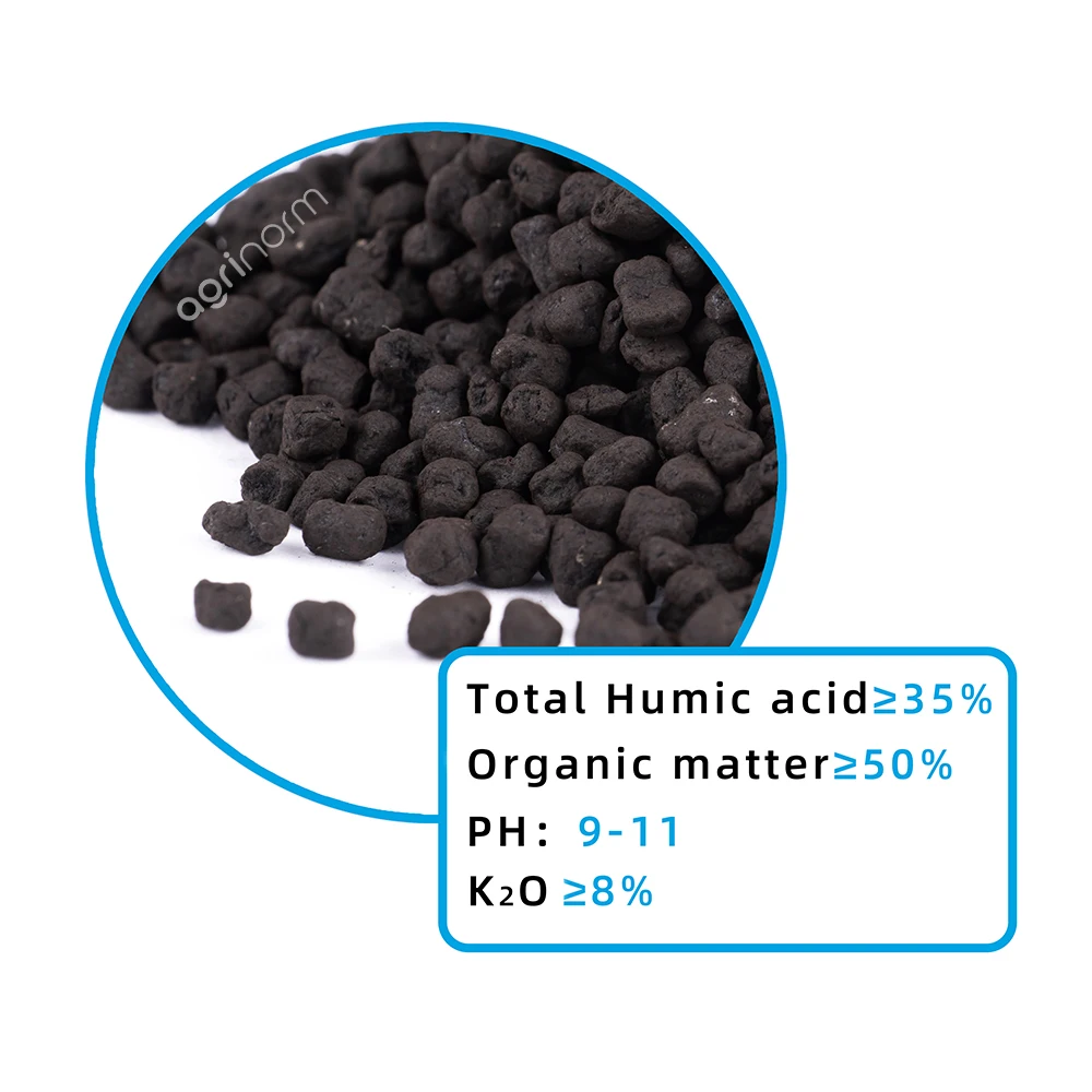 High Quality Growth Promoter soluble granular organic fertilizer
