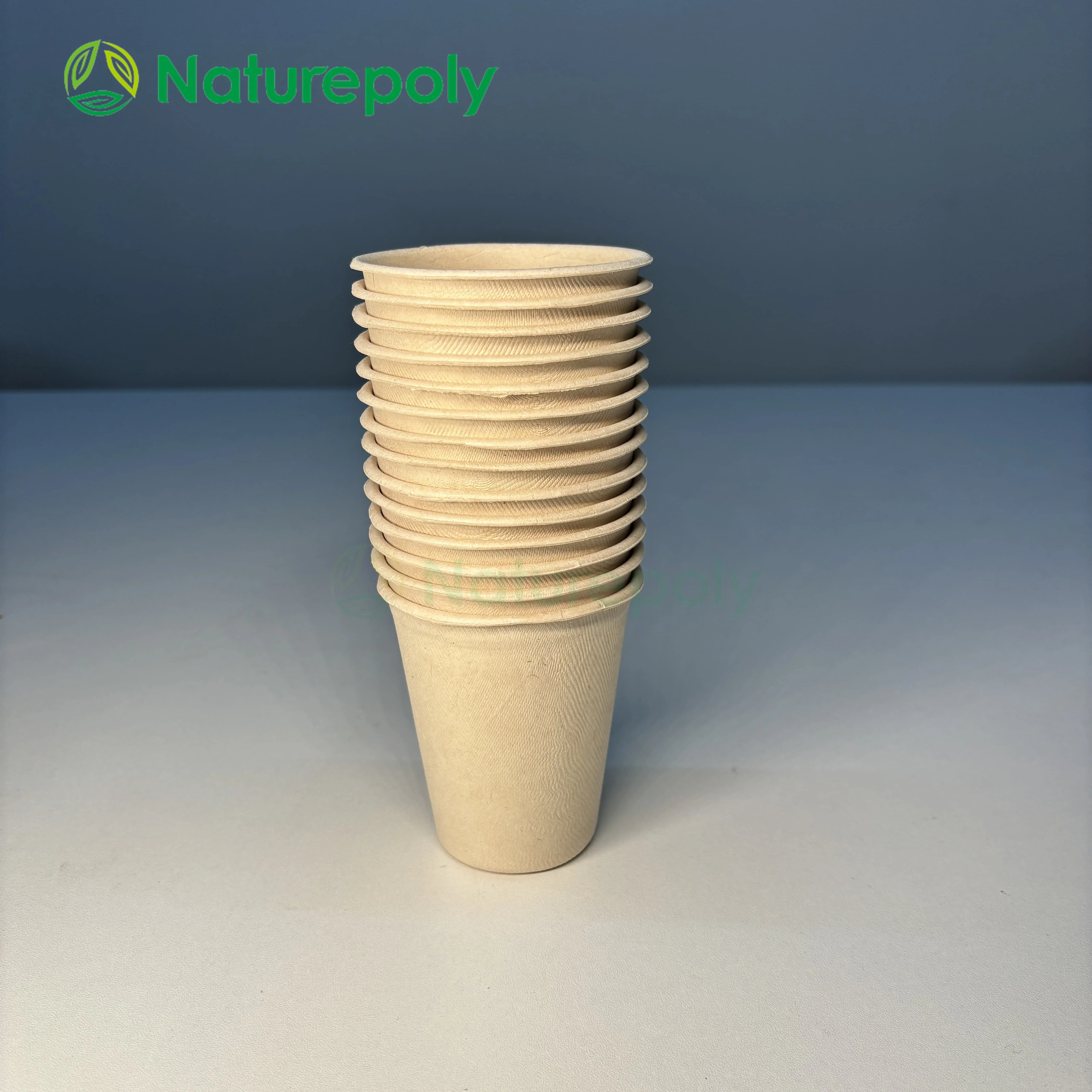 Disposable Bamboo Fiber Cup Custom Logo PLA Cotated Biodegradable Cup with Lids