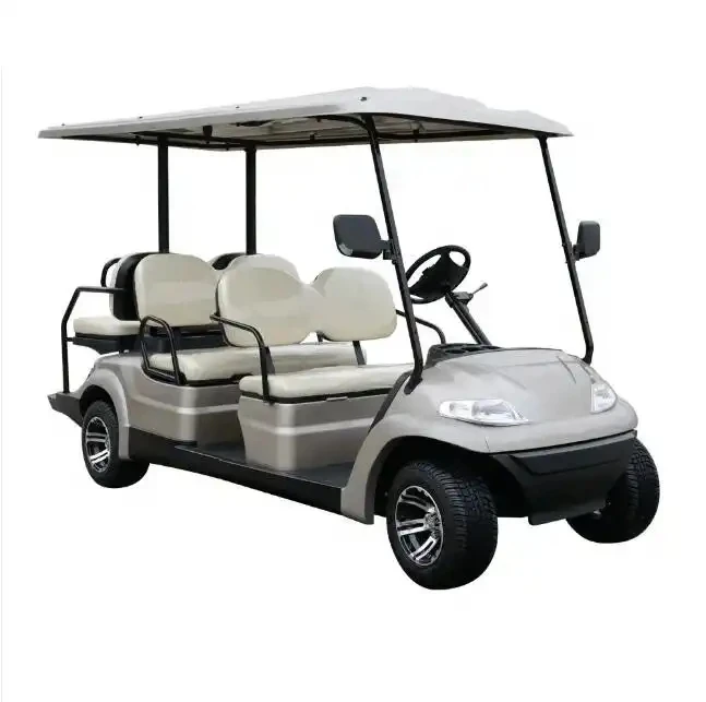 48v 4kw Dc Motor for Handicap Roadster Golf Cart Battery Lithium Beverage Sale Windshield
