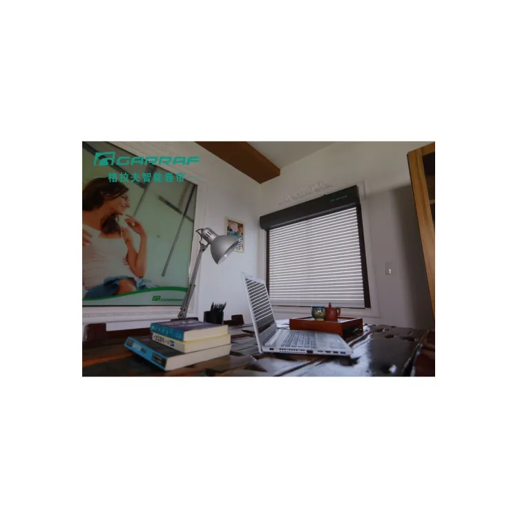 Aluminum Window Curtain Shutter Window Roller Shutter Windows