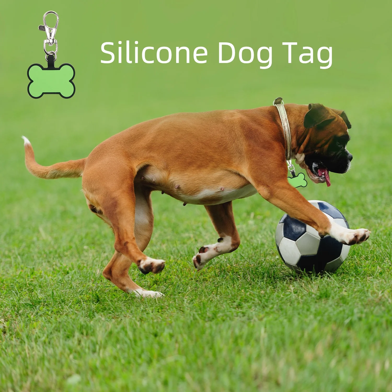 Personalized Bone Pattern Silent Sublimation Silicone Pet ID