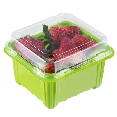 Supermarket Eco-Friendly Recyclable PET Plastic Food Container Clear Embossed Salad Fruit Box Packaging