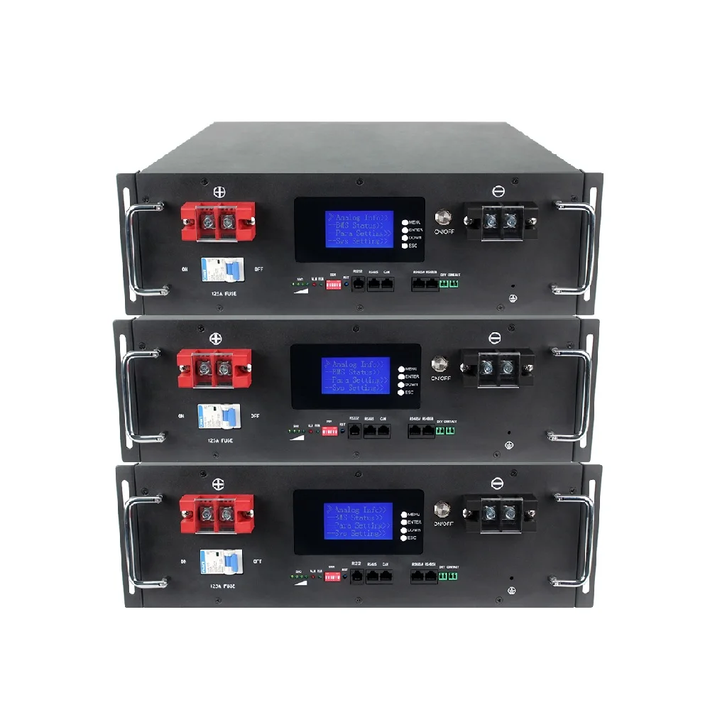 24V 48V 50Ah 100ah 200Ah 300Ah LiFePO4 LFP Lithium Ion Iron Phosphate Battery Rack Mounted Energy Storage Battery Pack