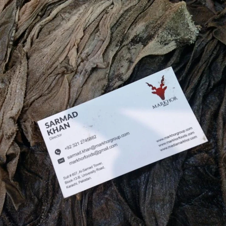 Processed Salted Beef Omasum - Dried Salted Omasum