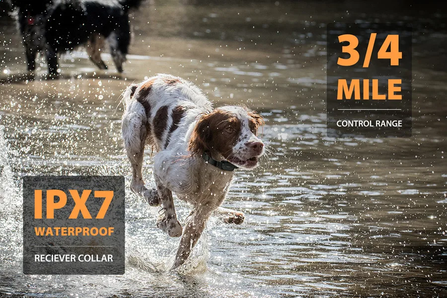 PATPET Dog Training Collar Professional Training Electric Shock Bee Tie Remote Control Pet Training Behavior Products