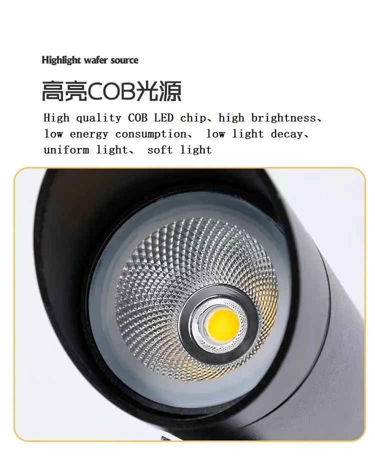 Custom 10W 20W Led Landscape Outdoor Garden Lawn Spike Light landscape lighting  for Garden decoration
