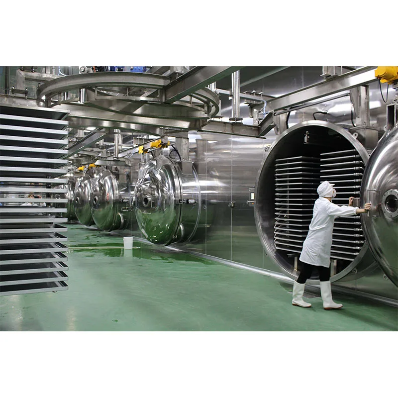 Versatile Multifunctional Lyophilizer For Vegetable And Fruit Industrial Freeze Dryer