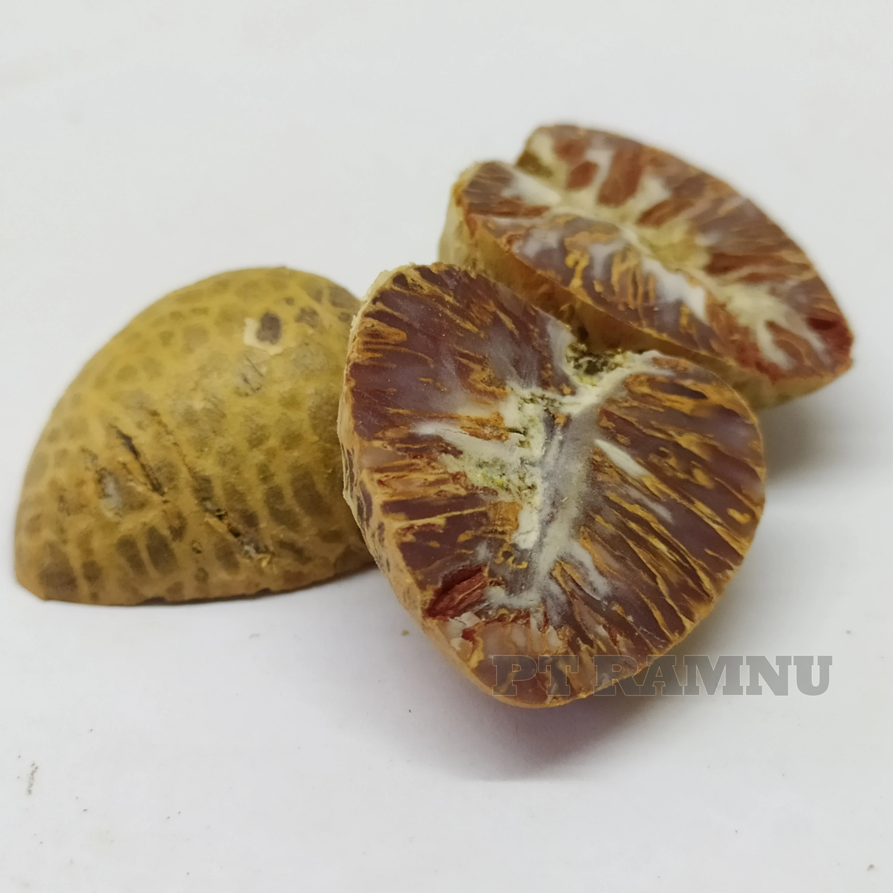 
Betel Nut High Quality from Indonesia 