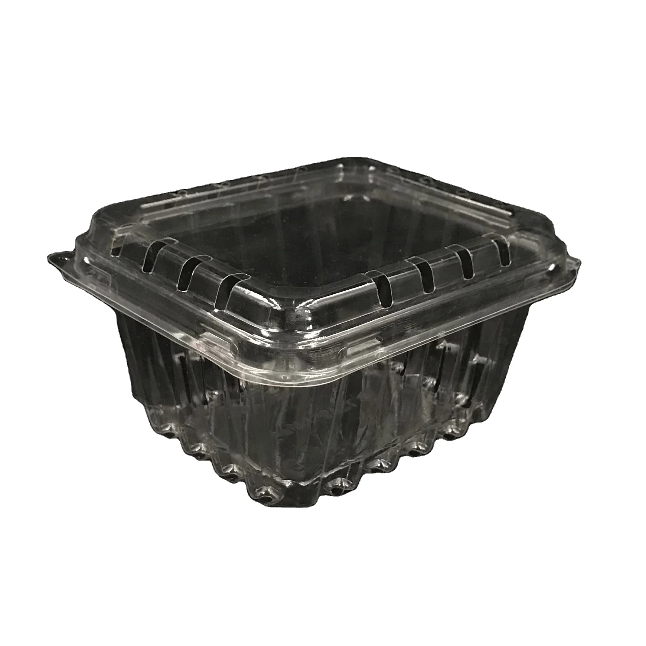 Disposable Plastic Food Fruit Box Packaging Plastic  Transparent Boxes