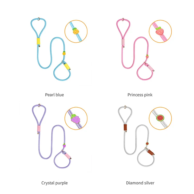 Loudik Wholesale Manufacturer Personalized Stock Western Style Quality Nylon Rope Pet Collar Leads Accessories Luxury Dog Leash