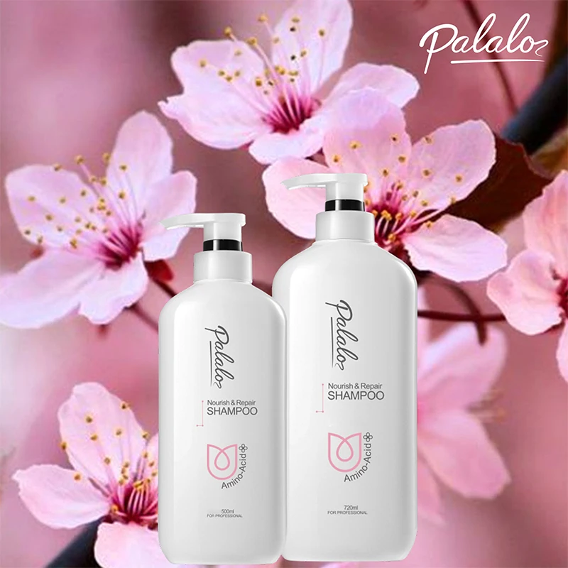 Amino Acid Shampoo Sulphate Free Shampoo Custom Logo Organic Collagen Silk Protein Hair Shampoo with Argan Oil