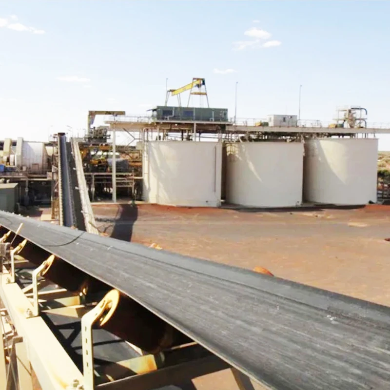 Tungsten Tin Tantalum Niobium Ore Processing Equipment Mining Plant