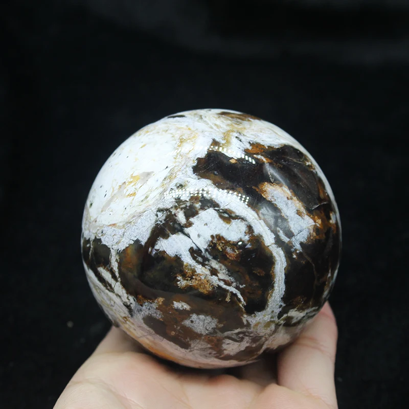 Natural Quartz Ball Patterned Wood Fossil Mineral Spheres For Decoration Fossil Wood Balls