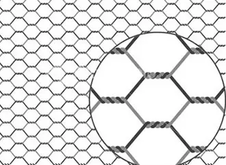 Galvanized hexagonal netting  wire mesh for crafts/ photo wall/plant project