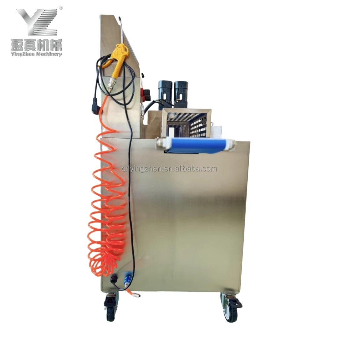 Ying Machinery Automatic Panamanian Plantinta Production Line