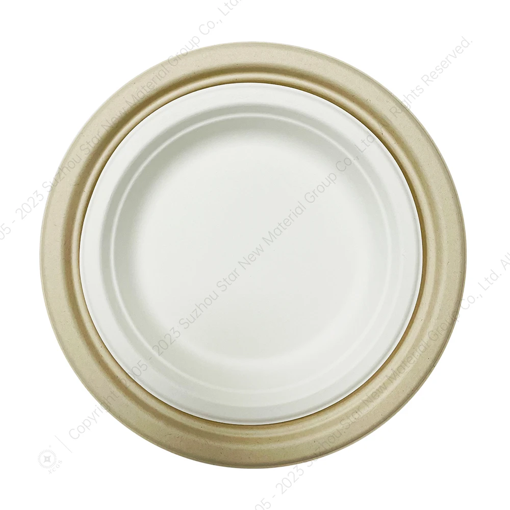 China Supplier Biodegradable Plate Disposable Sugarcane Bagasse Pulp Plates Bowl