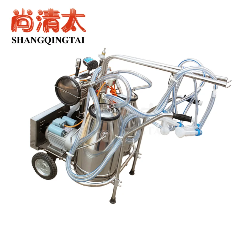 Automatic Pulsation Vacuum Cow Milker 250L Stainless Steel Bucket Portable with Silicone Cup Tube New Condition