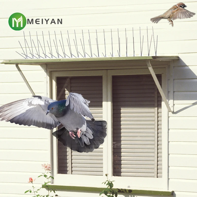 Outdoor 50cm 3pin Plastic base stainless steel Bird Spikes bird Spikes Use Anywhere bird spike