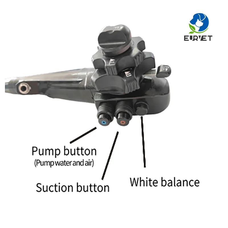 EUR PET Best Quality Camara Endoscopio Veterinary Driver Usb Camara Endoscopio Veterinary EquipmentFor Big Clinic