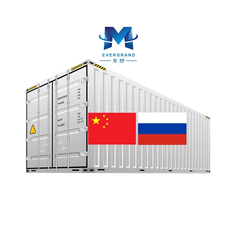 10 Years Sea Transport China to Russia Freight Forwarder Shipping Agent Door to Door Sea freight Moscow DDP