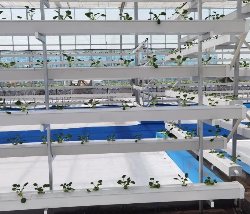 Customized Sizes Hydroponic Tube Square PVC Pipe for Plant Growing Nft System