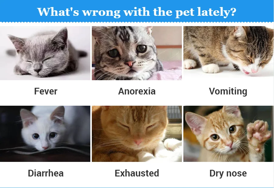 Triple feline FELV/ FIV/Giardia veterinary Rapid Test Kit