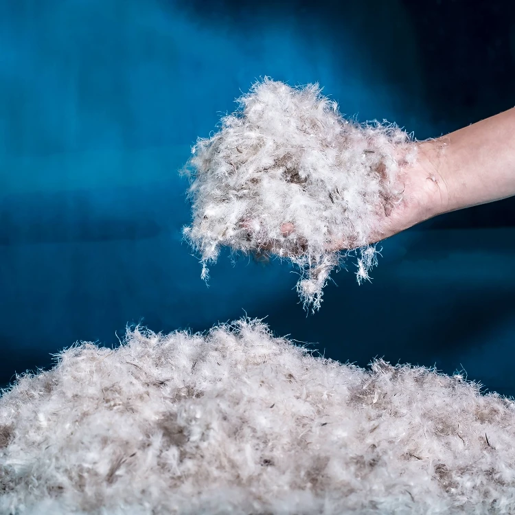 75% Factory Direct Sale Pillow Filling Material Grey Goose Down Feathers Wholesale Pillow Goose