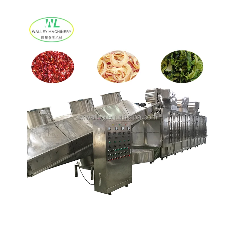 China Multi Stage Conveyor Drying Equipment Continuous Seaweeds Algae Anchovies Dehydrator Conveyor Belt Dryer