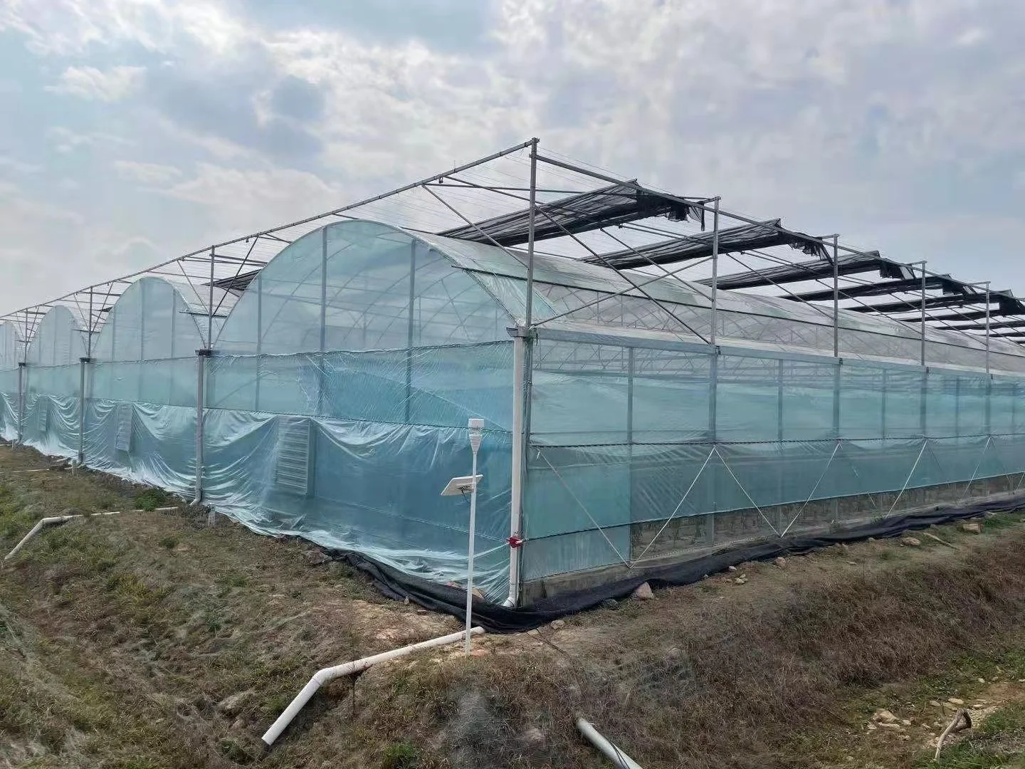 Factory Direct Supply Plastic Sheet Foil Cover Greenhouses Tent With System Technology For Indoor or Outdoor