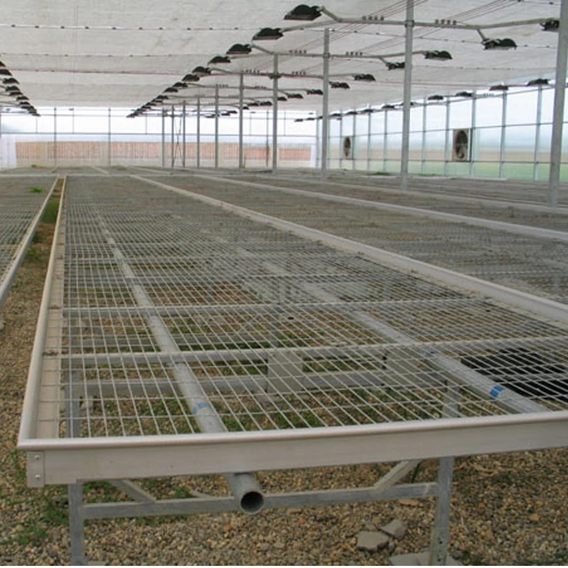 Top Quality Movable 4x8 Flood Table Seedbed Ebb and Flow Hydroponic Greenhouse Grow Table Flood Grow Table Rolling Bench