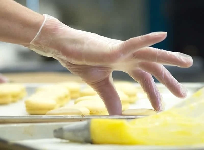 Dispoaible pvc gloves vinyl gloves powder free vinyl gloves for food