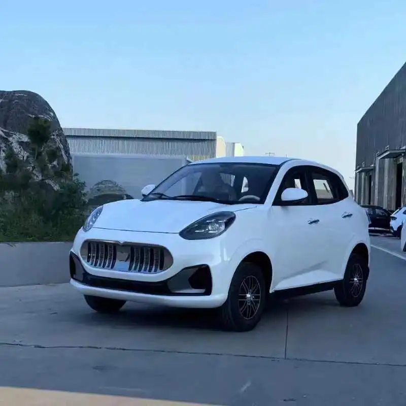 Low Price Four-Wheeled Electric Vehicles, New Energy Family Cars, Scooters, Petrol and Electricity