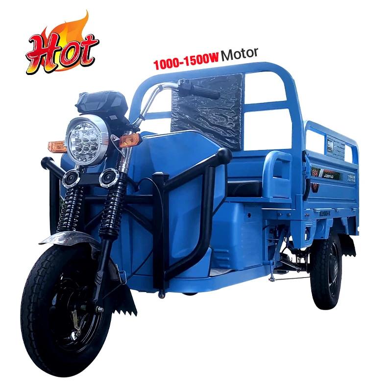 2024 New Design Cargo three wheels electric tricycles with strong power