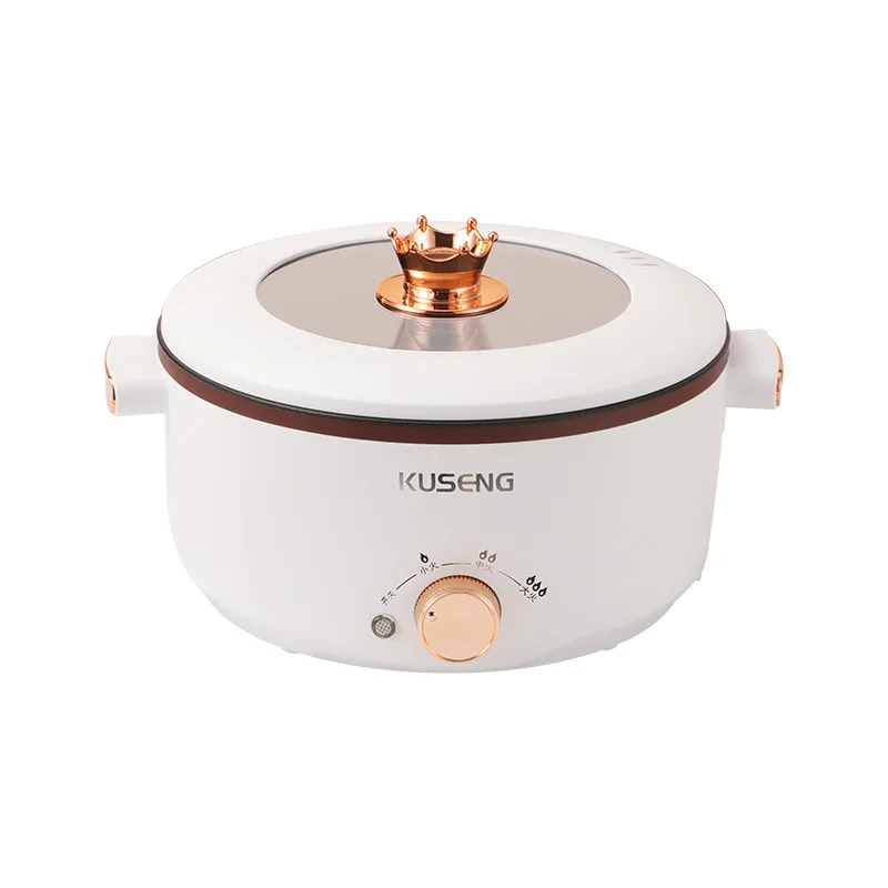 Multi-Functional Stainless Steel Electric Cooking Steamer Pot Home Skillet Hot Caldron Household