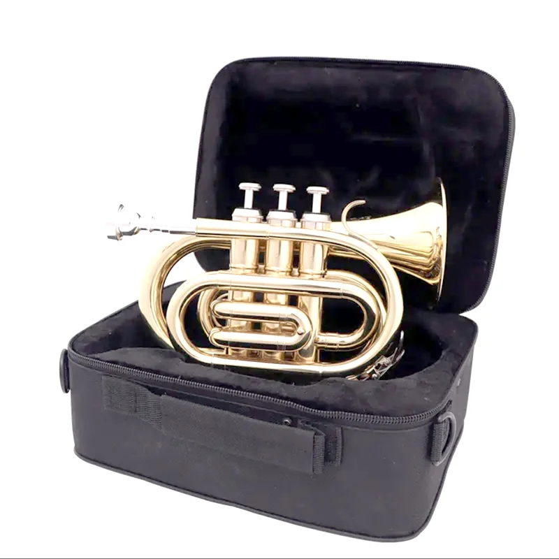 Cheaper price OEM manufacture gold lacquered student model pocket trumpet