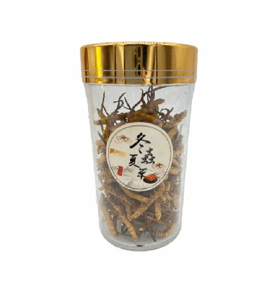 2022 Top/Superior Quality Pure Wild Cs-4 Cordyceps Militaris Capsule Mushroom