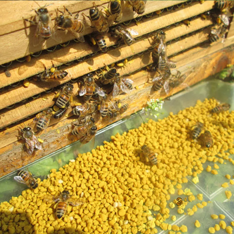 Hot Selling Food Grade Natural Pure Bee Pollen for Beekeeping