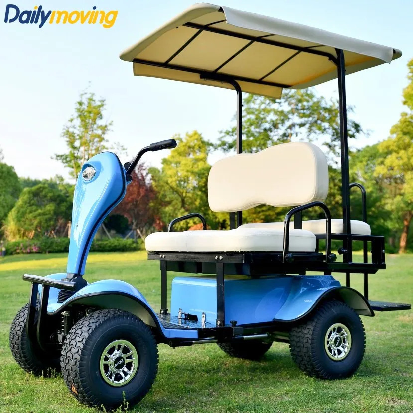 2 4 Seat Electric Mini Golf Sightseeing Cart Electric Power Golf Buggy 1500W Motor With Lithium Power Option