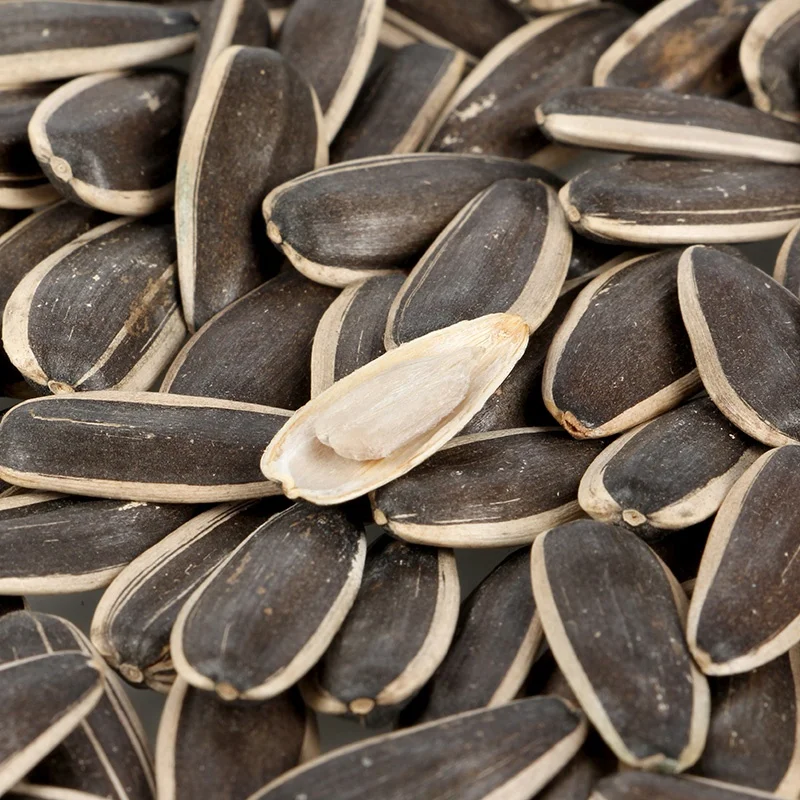 Полосатые семена подсолнечника хорошего качества, в продаже, большие пакеты, Упакованные, упакованные семена подсолнечника