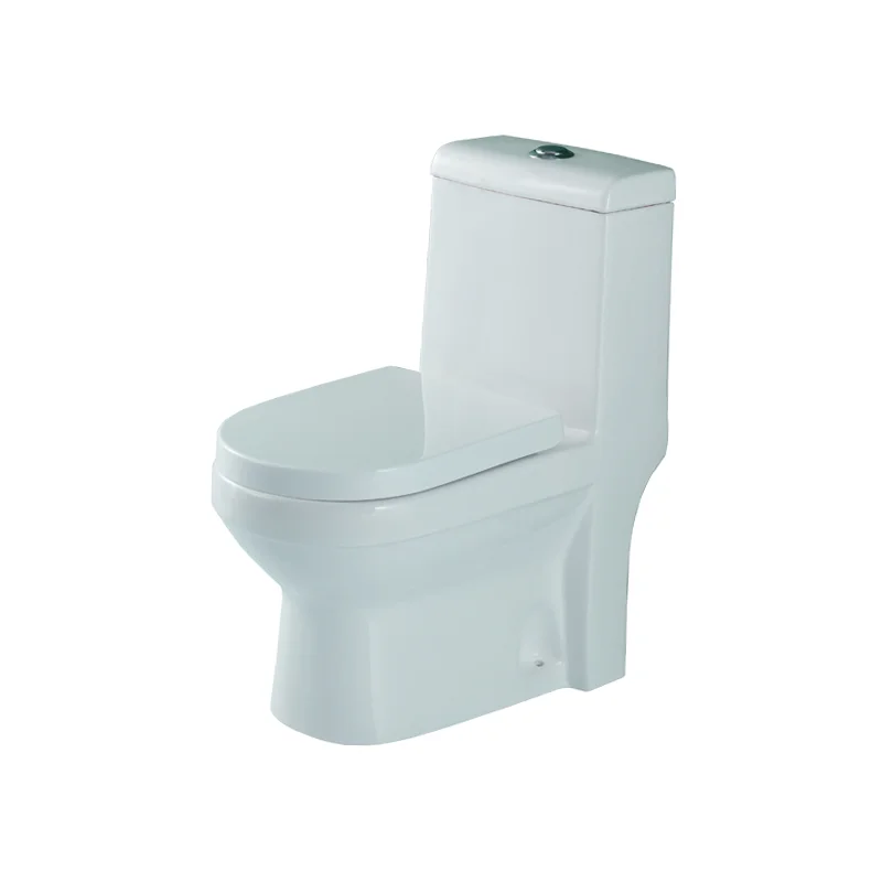 WDSI Incenoration Toilet Sitz Bath For Toilet Seat Toilet Sanitary
