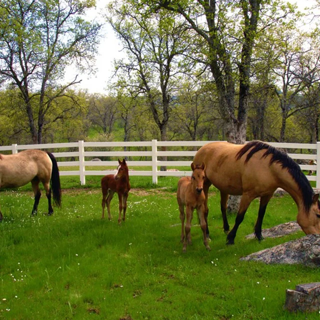 China Supplies High Quality Low Cost UV Resistant Racecourse PVC Horse Fence With Gates