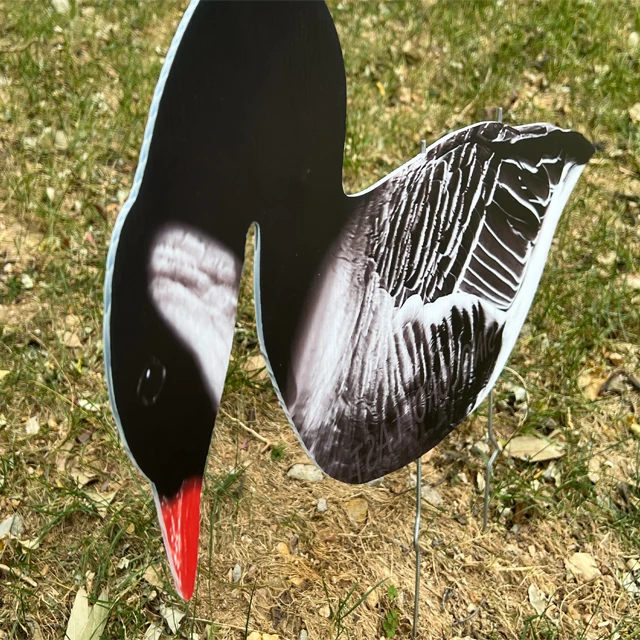 Hunting Plastic Products Custom Snow Goose  silhouette Decoys Hunters Corrugated Board Decoy Best Price PP Sheet