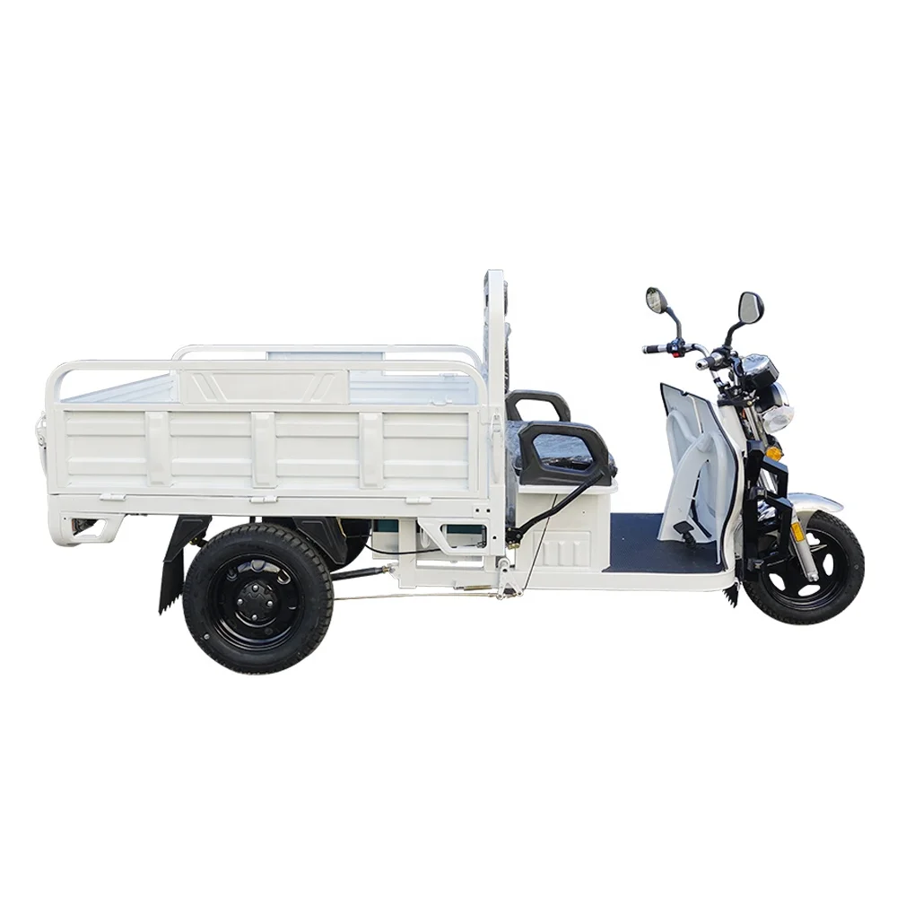 China Made High Quality Cargo Bike Electric Truck Three Wheel Electric Motorcycle with CE