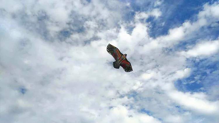  1.2 Flat Eagle Kite Children Flying Bird Kites Windsock Outdoor Toys Garden Cloth For Kids Gift