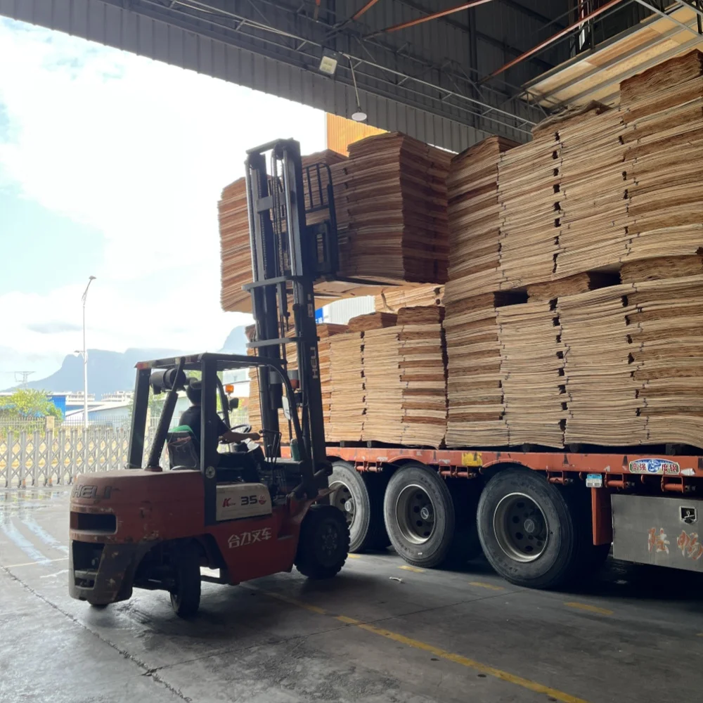 BSD-304 MA Modern Design Black Wood Grain Melamine MDF Board Moisture-Proof for Furniture Use