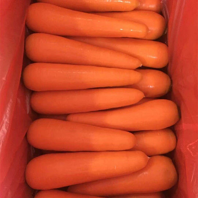 Fresh Carrot 10kg Cartons Wholesale Chinese Fresh Carrots 2021 Crop For Export Shandong Xiamen Origin