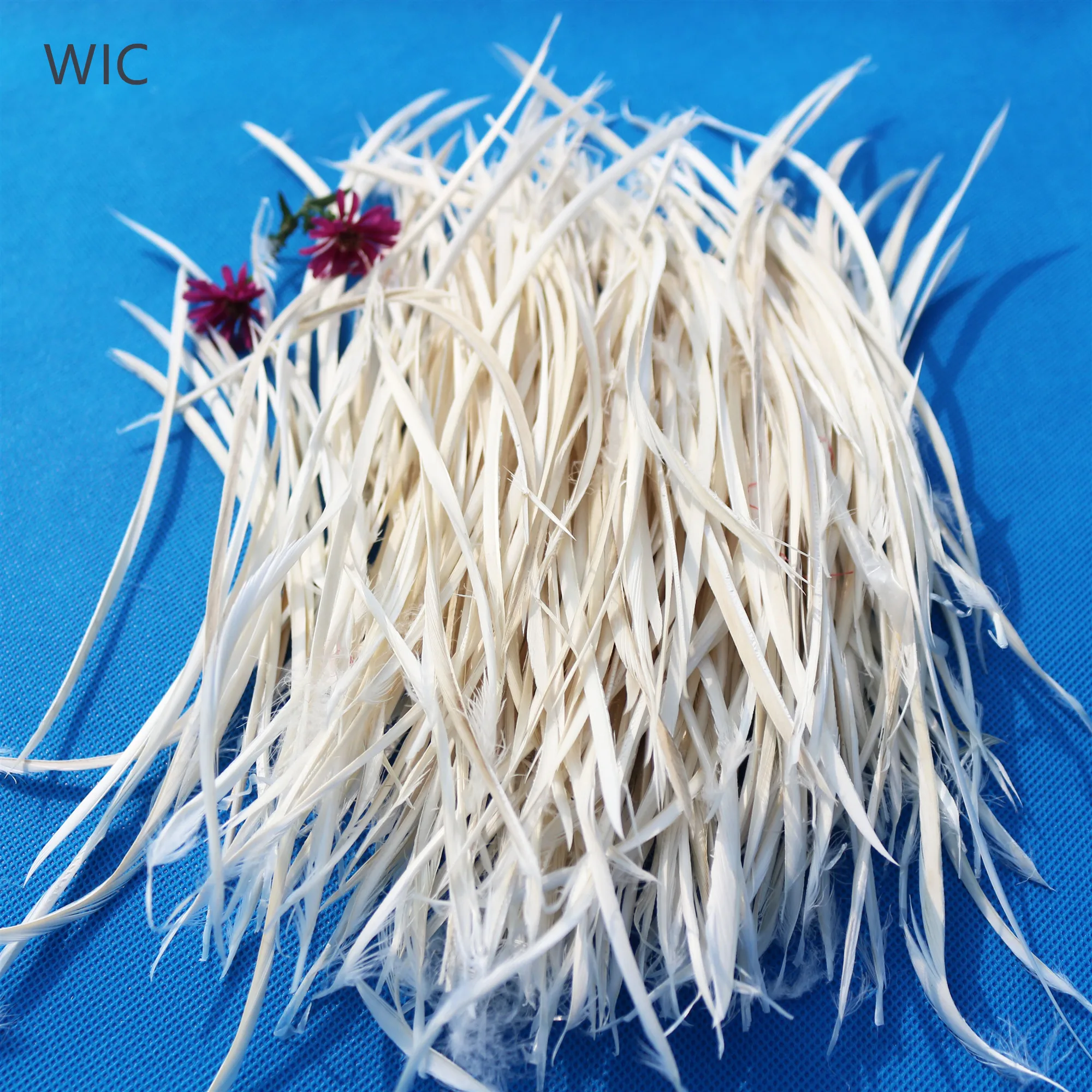 Wholesale Price 12-18cm Dyed Color DIY Loose Stripped Goose Biot Feathers Garments Dresses for Crafts Costume Decoration