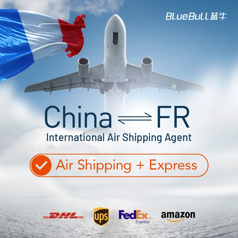 Amazon FBA Door to Door Delivery Service Fba Freight Forwarder China Shipping Agent to France